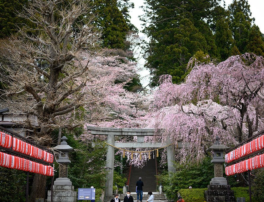 ⛩️ 오구 하치만 신사(오구하치만진자) 이미지 4